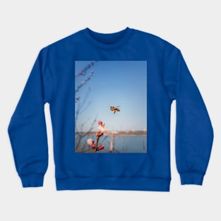 flying Bee Crewneck Sweatshirt